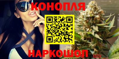 прущие грибы Лесосибирск