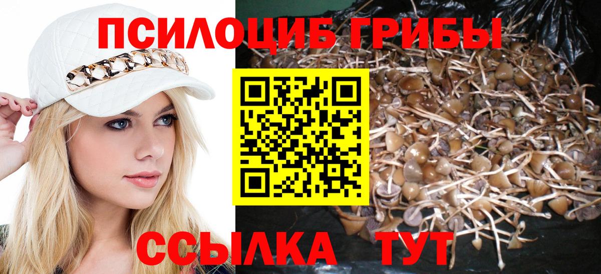 Галлюциногенные грибы мицелий Рассказово